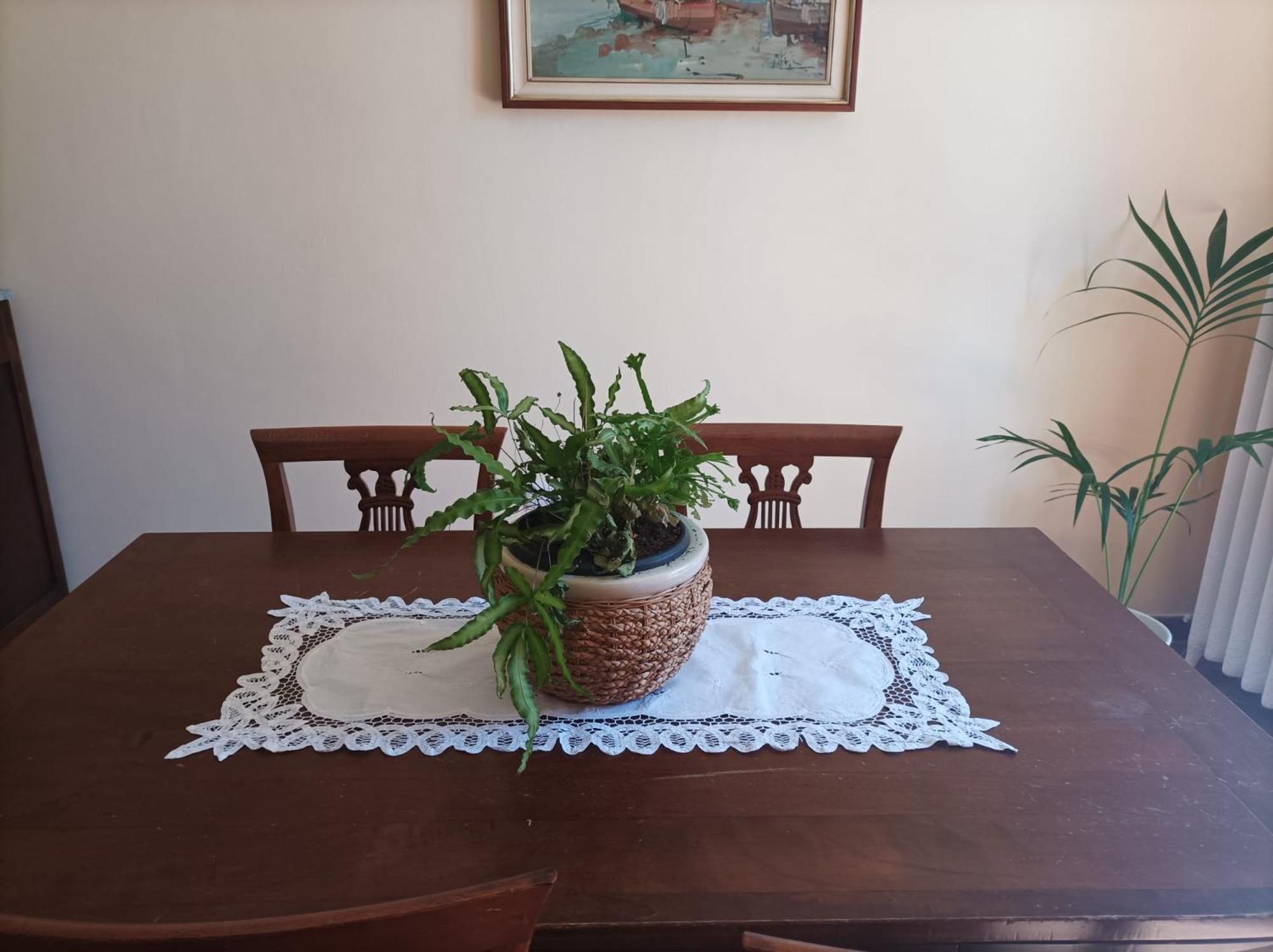 Bed And Breakfast Da Pio Castello  Екстер'єр фото