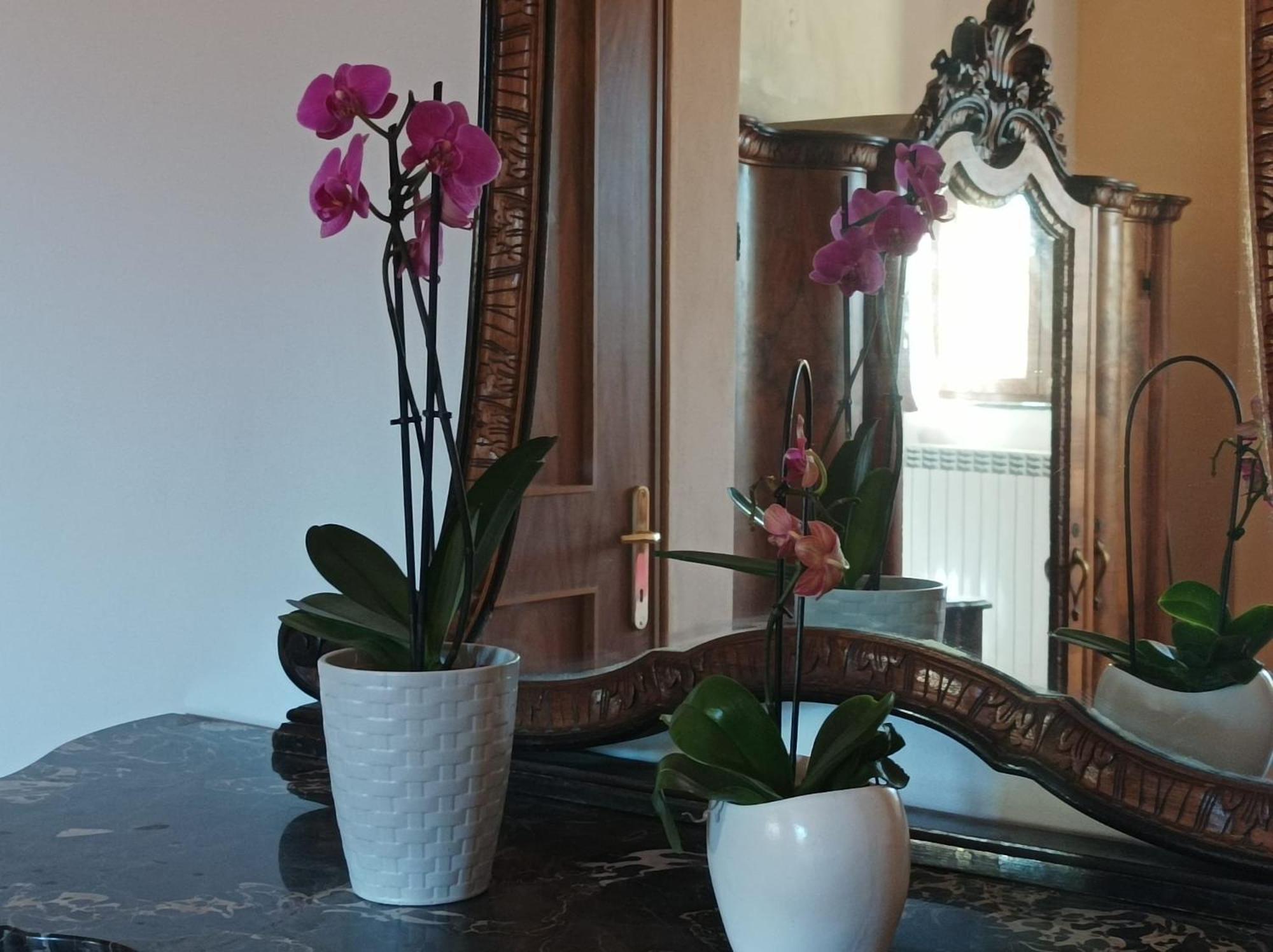 Bed And Breakfast Da Pio Castello  Екстер'єр фото